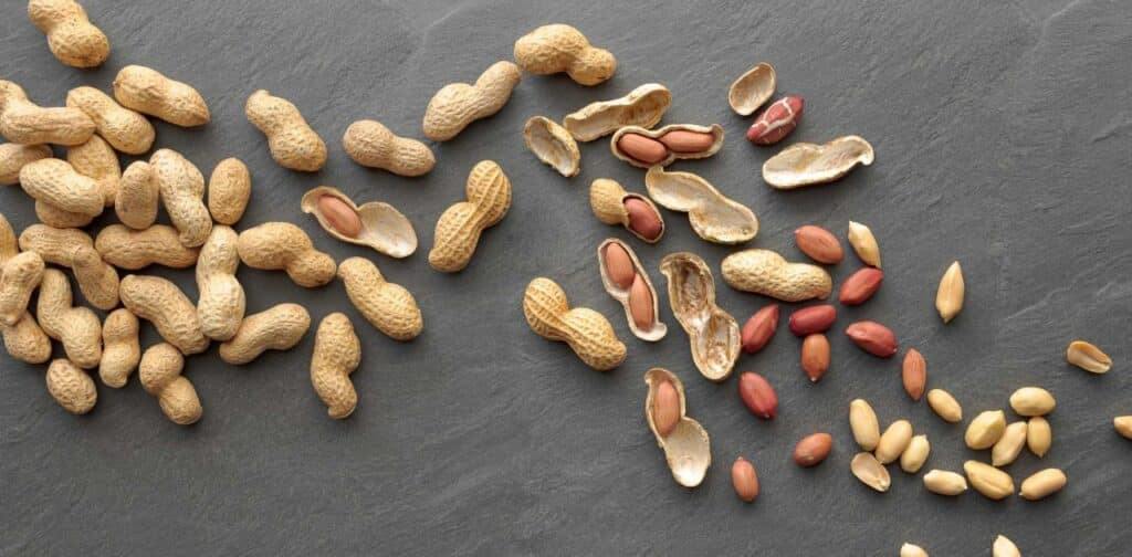 Almonds in History and Culture