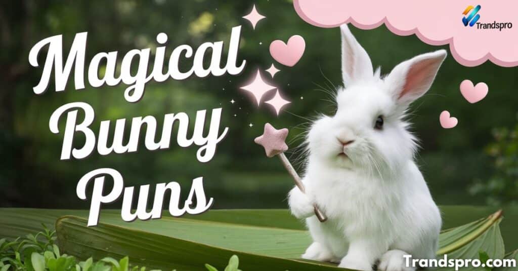 Magical Bunny Puns