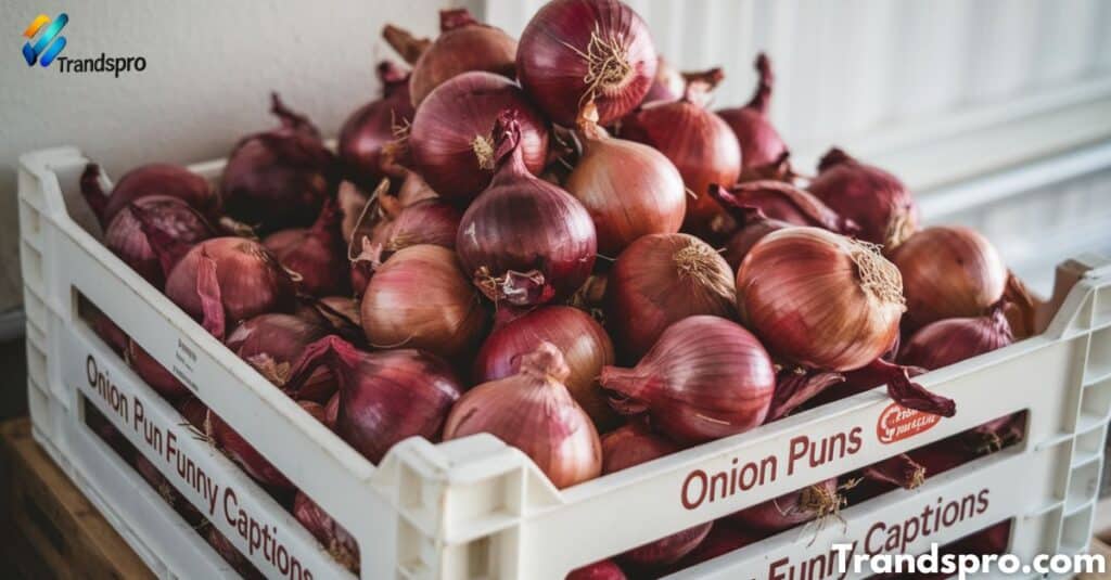 Onion Puns Funny Captions