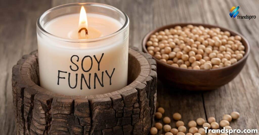 Soy Funny Puns That Will Keep You Smiling