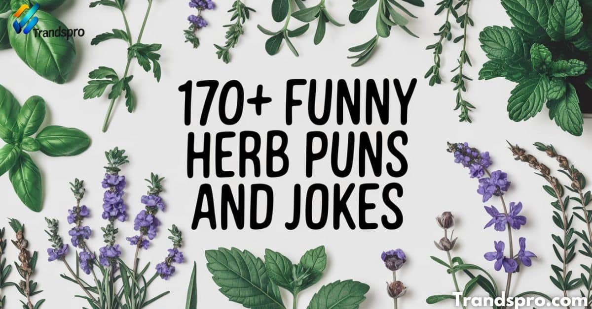 170+ Funny Herb Puns and Jokes: Thyme for Laughs