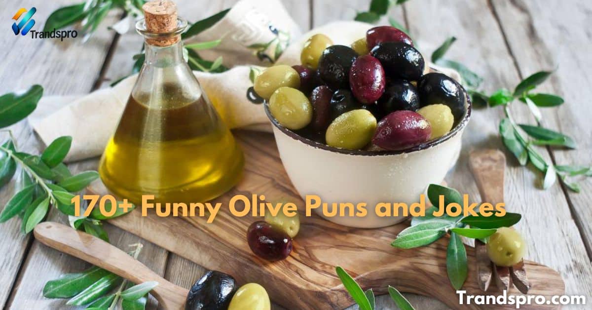 170+ Funny Olive Puns and Jokes: Olive for the Laughs