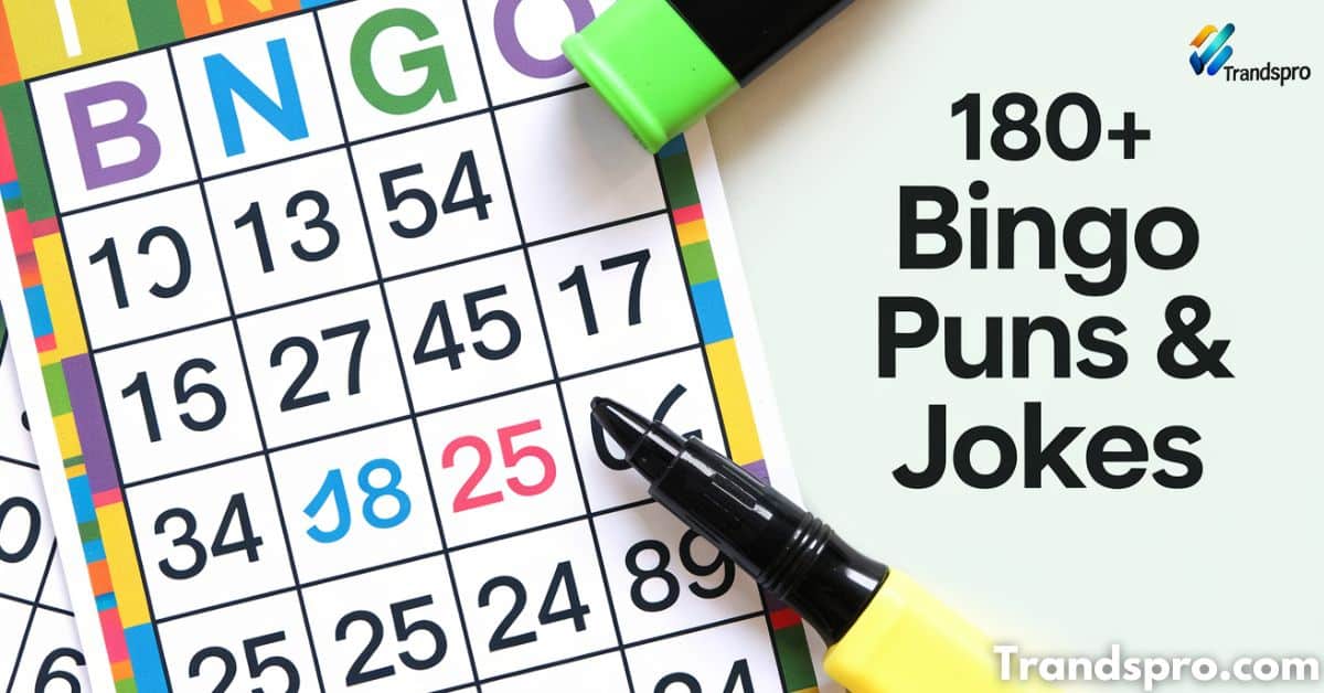 180+ Bingo Puns & Jokes You’ll Shout “Funny!” For