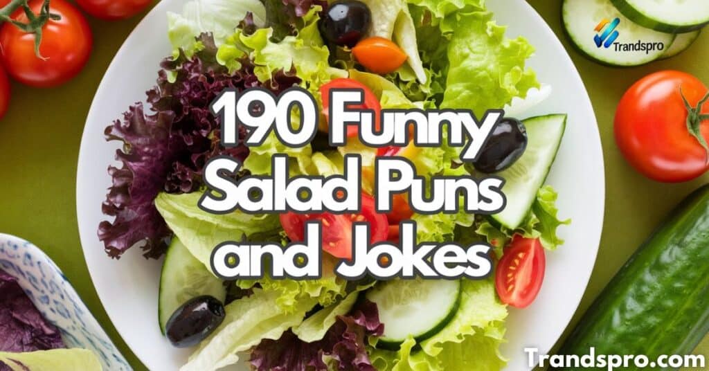 +190 Funny Salad Puns and Jokes That Will Leave You in Stitches