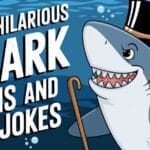 +190 Hilarious Shark Puns and Jokes Dive Deep into Humor