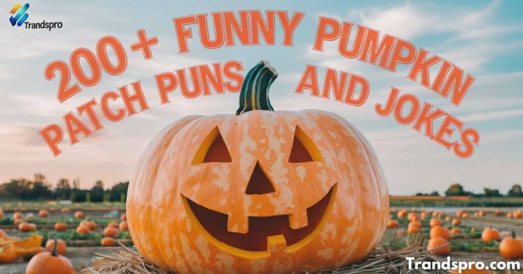 200+ Funny Pumpkin Patch Puns and Jokes: Gourd-ious Laughter