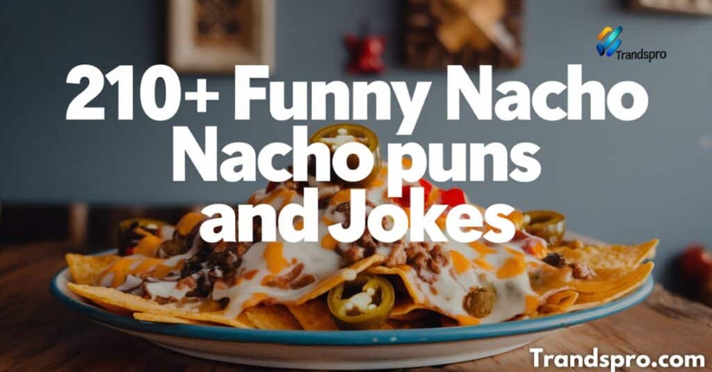 210+ Funny Nacho Puns And Jokes: Spice up Your Day