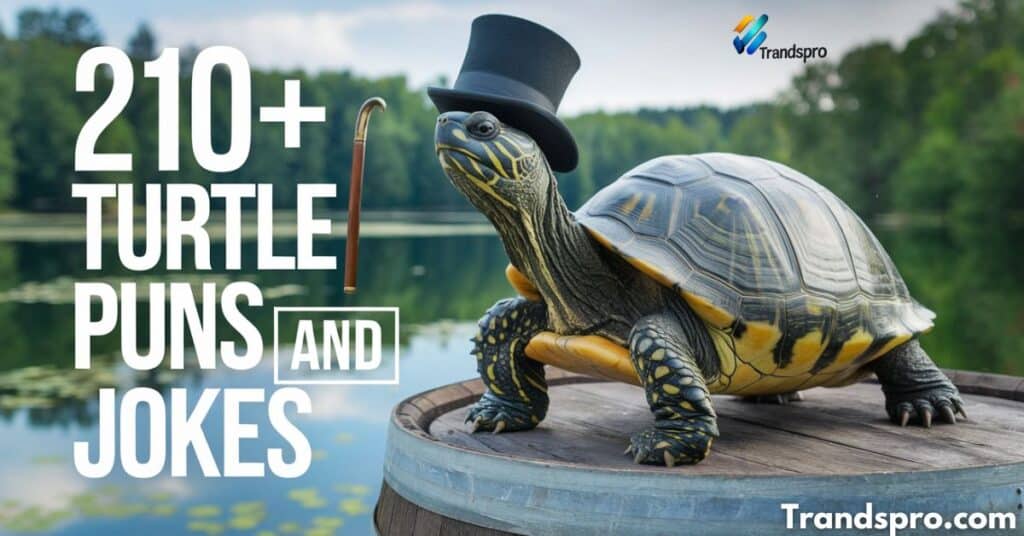 210+ Turtle Puns and Jokes That Are Shell-arious