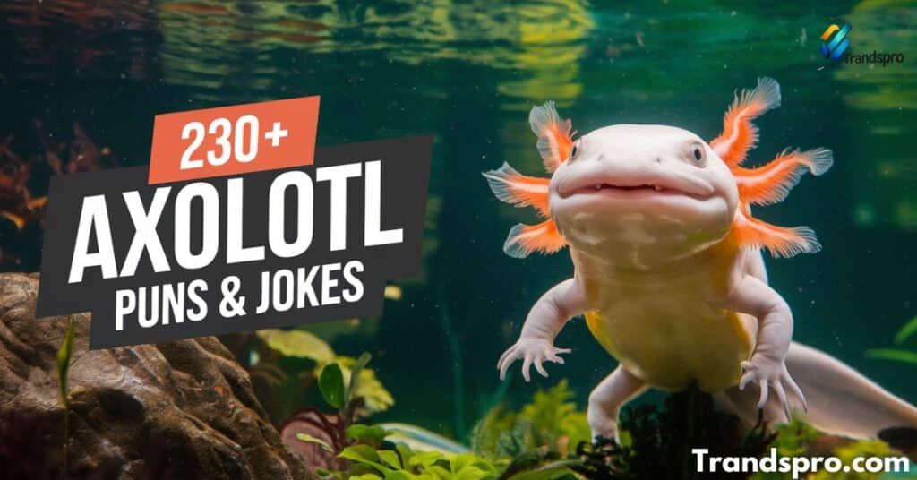 230+ Axolotl Puns & Jokes You’ve Gotta Be Axolottin’ Me!