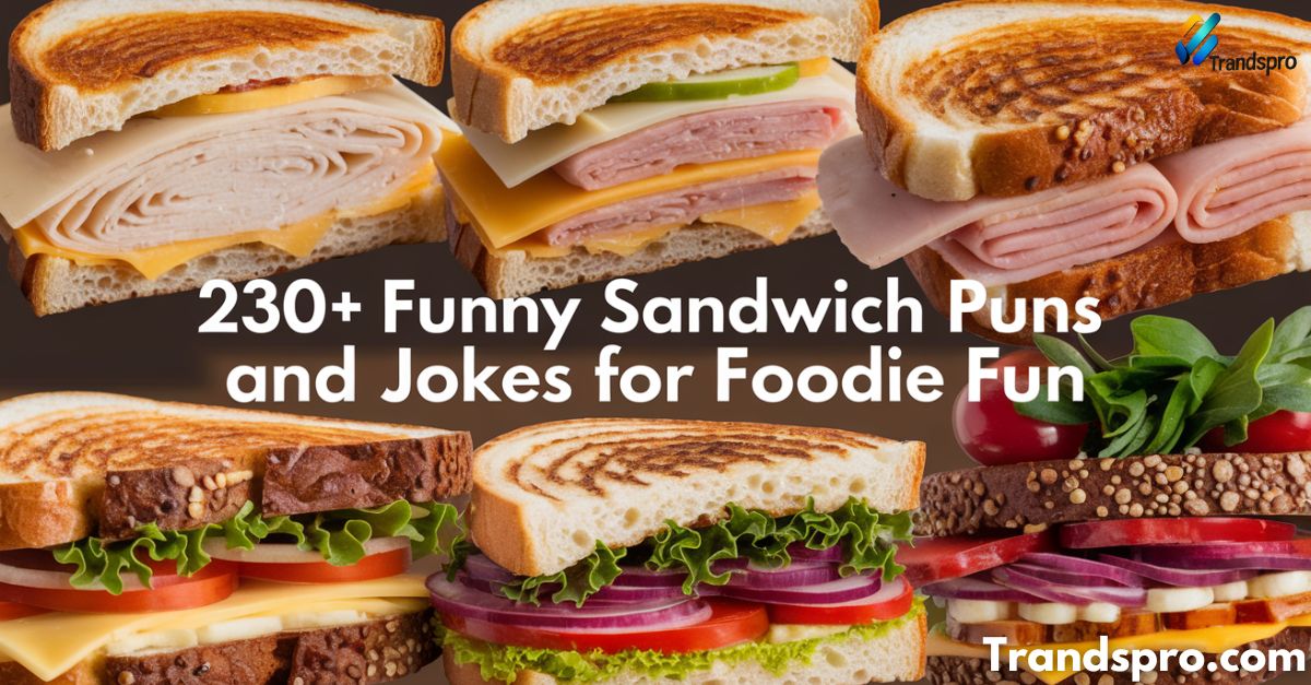 230+ Funny Sandwich Puns And Jokes For Foodie Fun