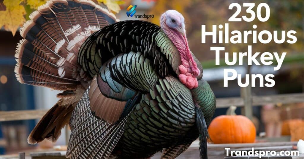 230 Hilarious Turkey Puns to Gobble Up This Thanksgiving