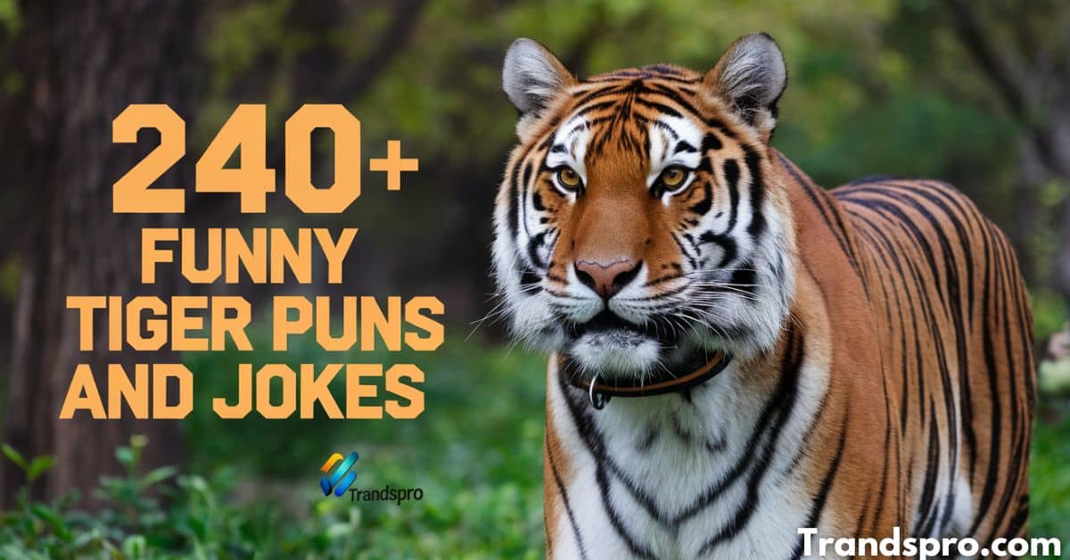 240+ Funny Tiger Puns And Jokes Cracking up