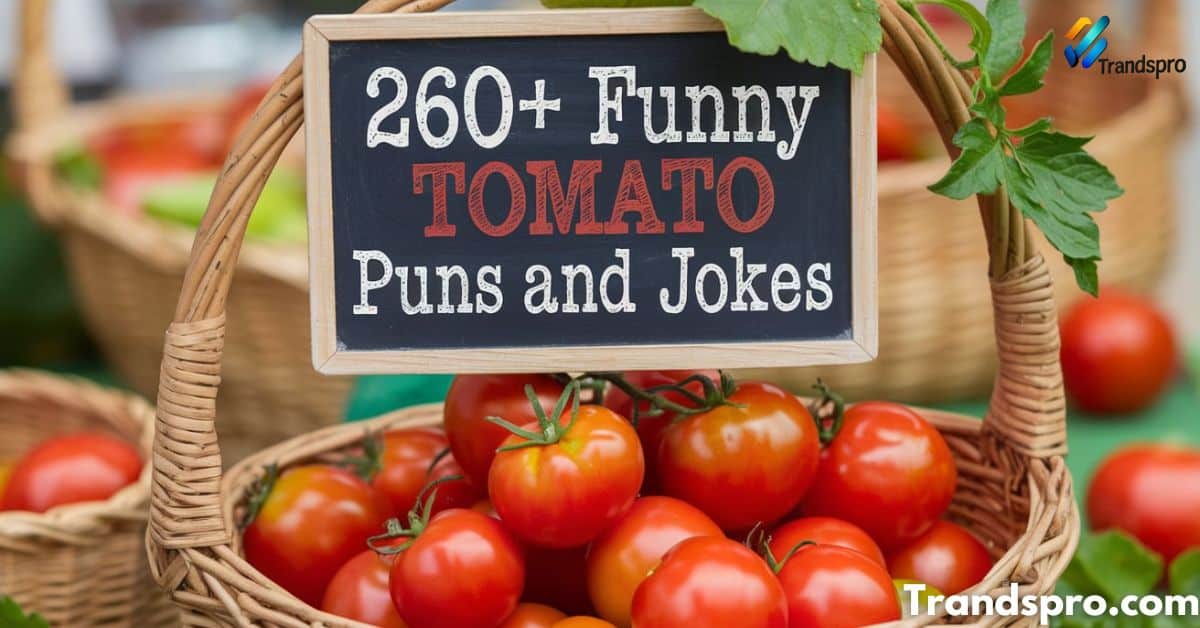 260+ Funny Tomato Puns and Jokes The Perfect Blend of Humor