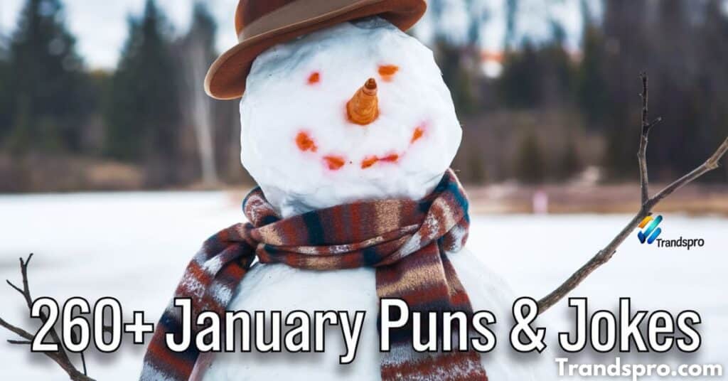 260+ January Puns & Jokes to Start the Year Smiling