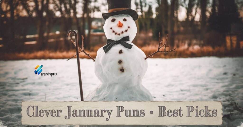 Clever January Puns – Best Picks