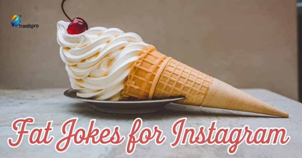 Fat Jokes for Instagram