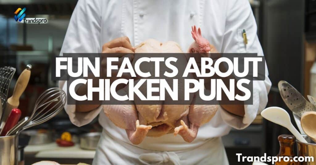 Fun Facts About Chicken Puns