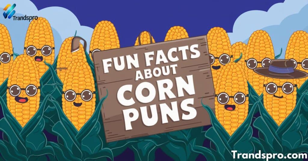 Fun Facts About Corn Puns