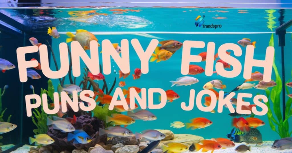 Funny Fish Puns and Jokes