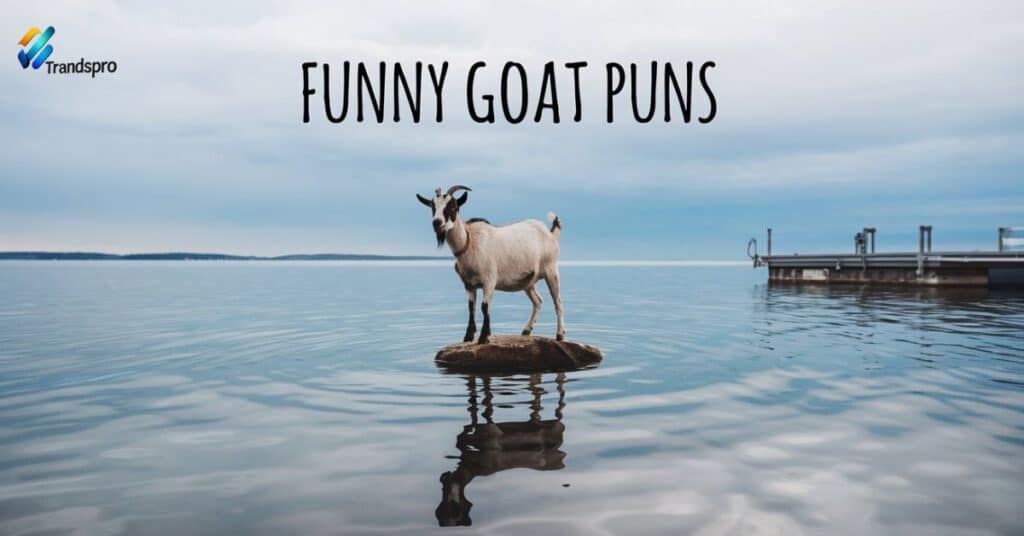 Funny Goat Puns