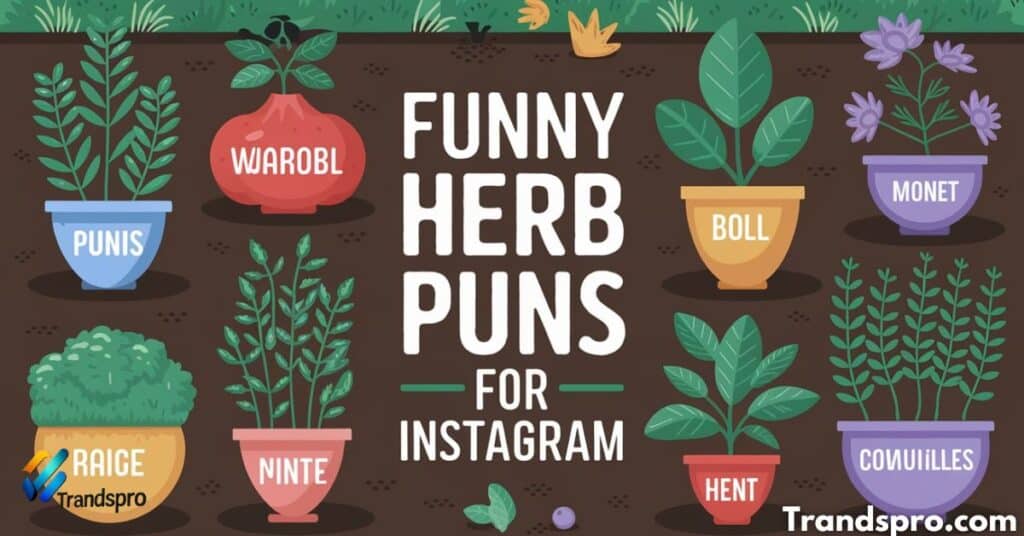 Funny Herb Puns for Instagram