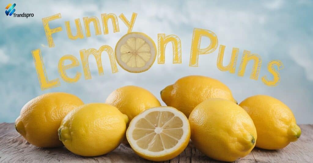 Funny Lemon Puns