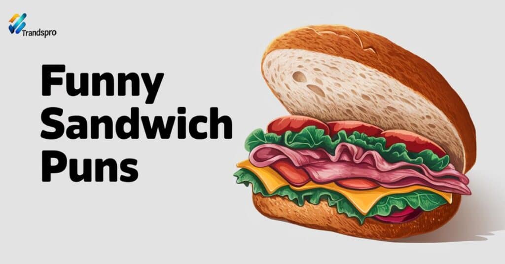 Funny Sandwich Puns