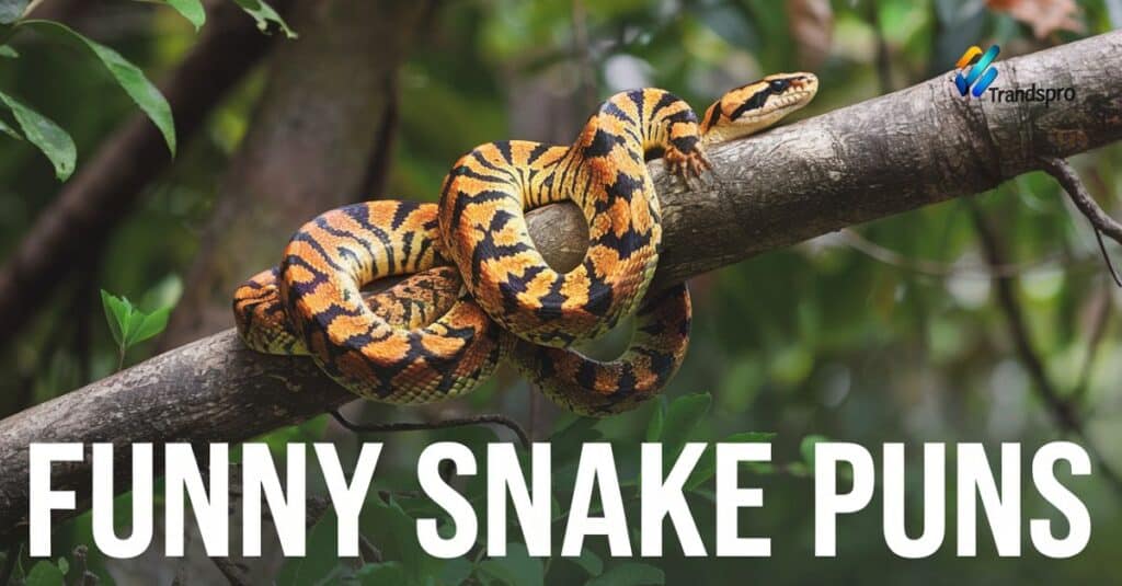 Funny Snake Puns