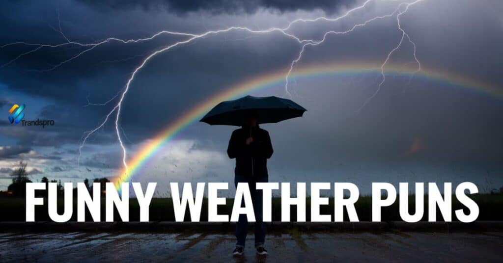 Funny Weather Puns