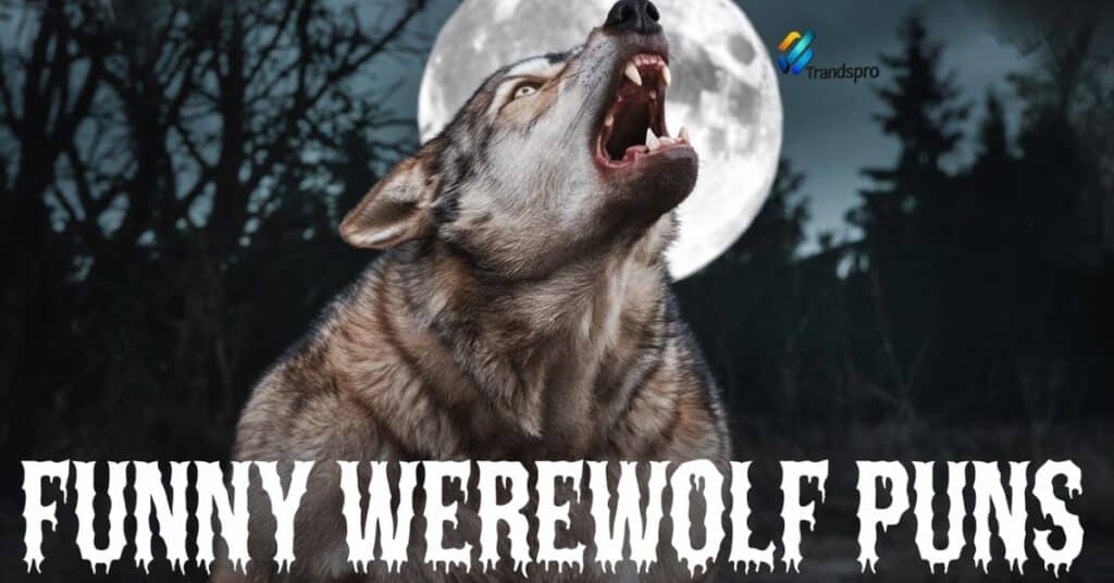 Funny Werewolf Puns