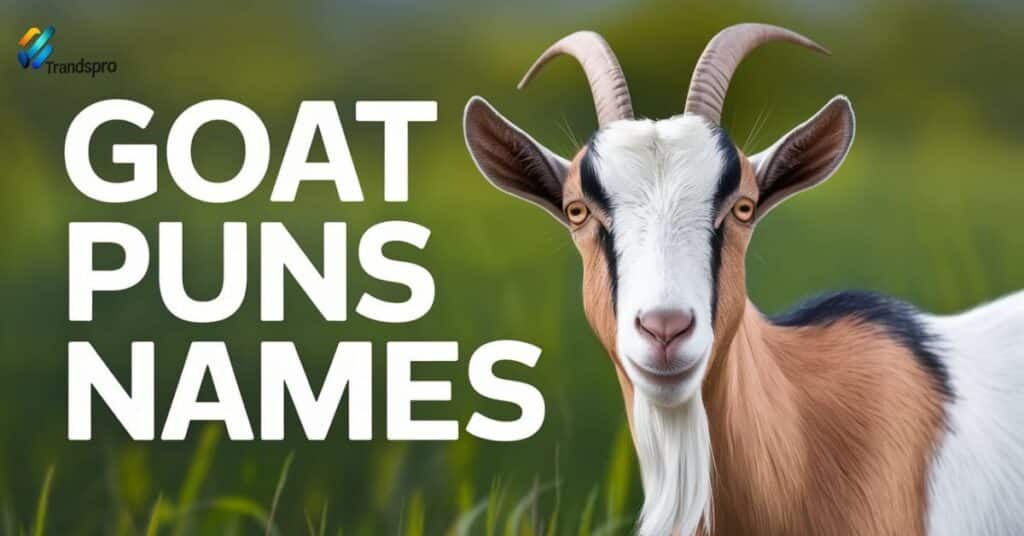 Goat Puns Names