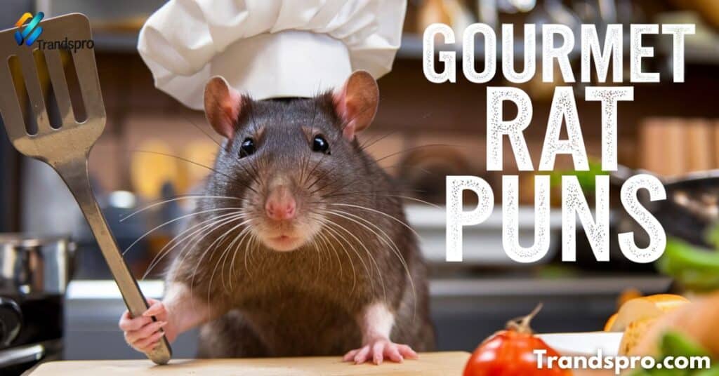 Gourmet Rat Puns