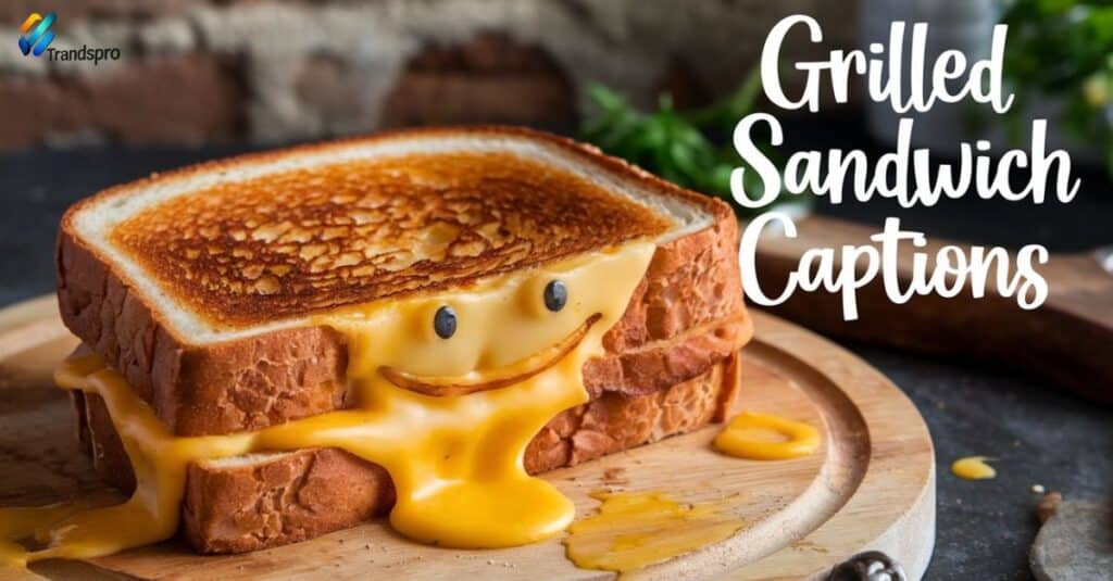 Grilled Sandwich Captions