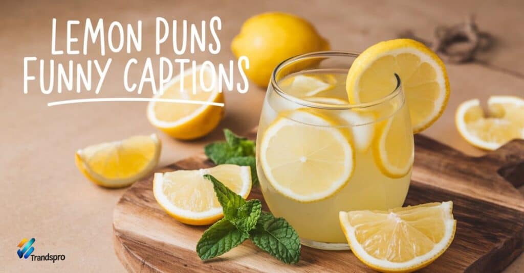 Lemon Puns Funny Captions