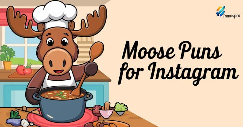 Moose Puns For Instagram