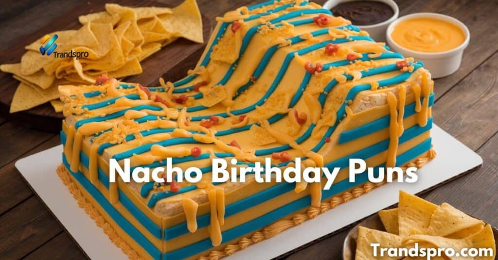 Nacho Birthday Puns