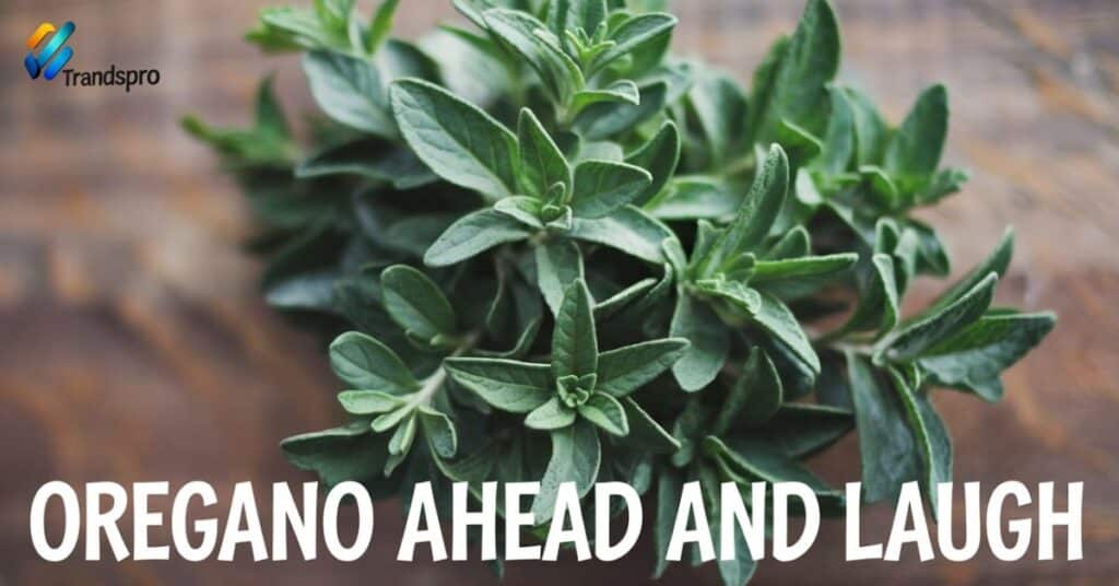 Oregano Ahead and Laugh