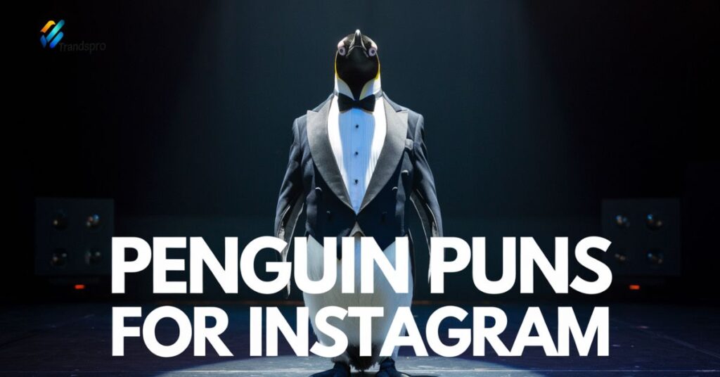 Penguin Puns for Instagram