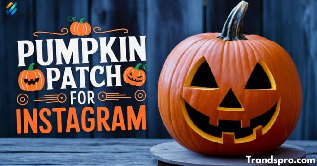 Pumpkin Patch Puns for Instagram