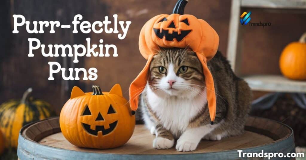 Purr-fectly Pumpkin Puns