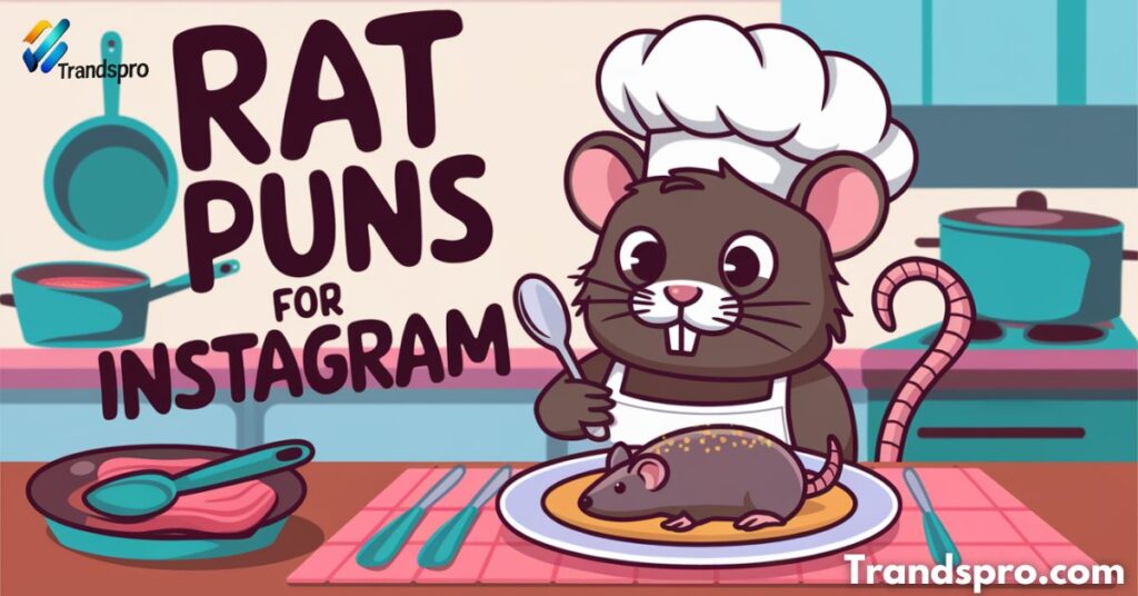 Rat Puns for Instagram 📸