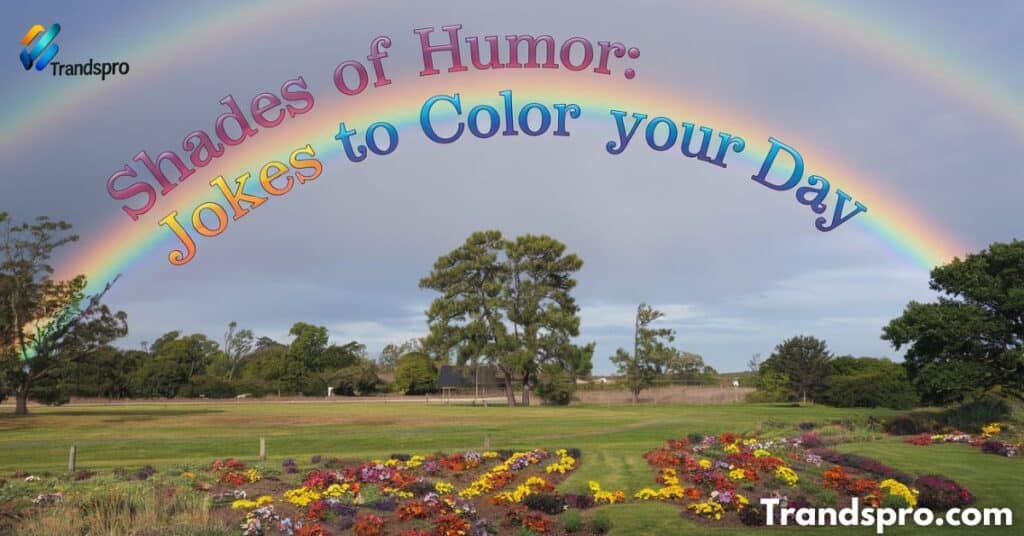 Shades of Humor Jokes to Color Your Day