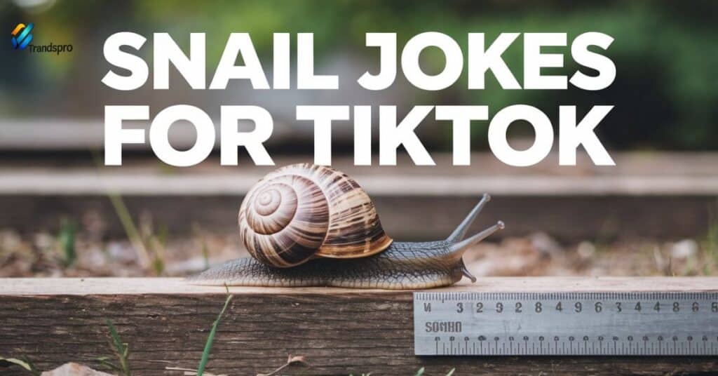 Snail Jokes For TikTok