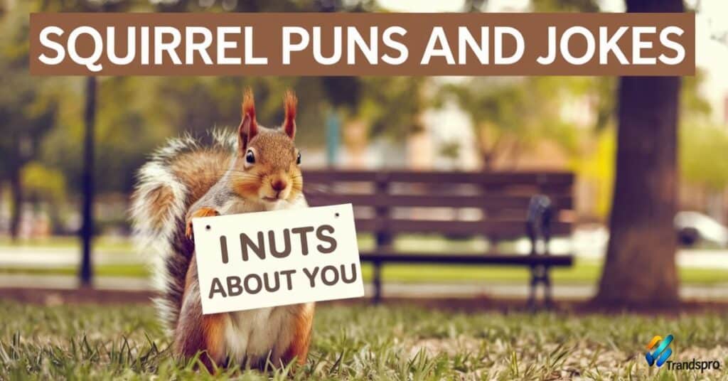 Squirrel Puns And Jokes