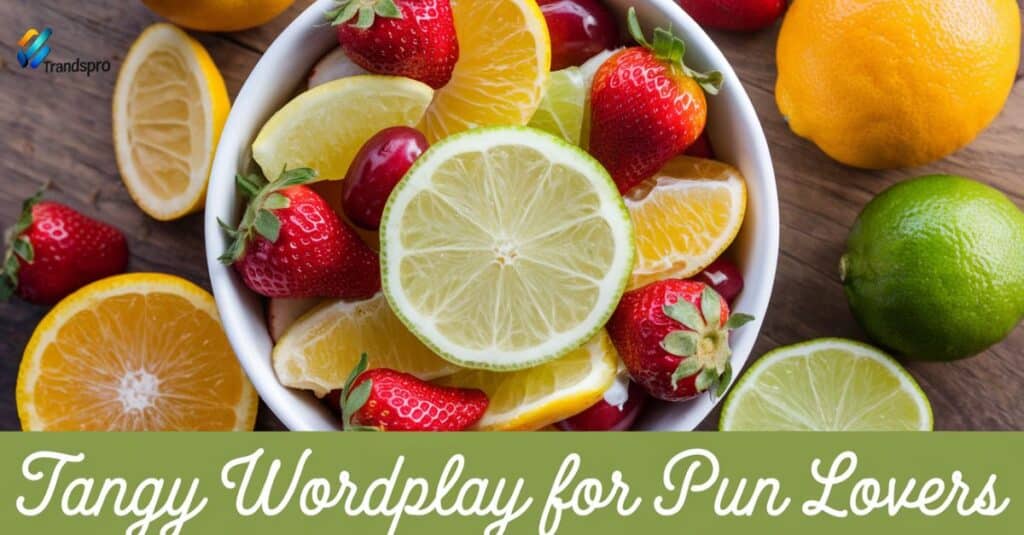 Tangy Wordplay for Pun Lovers