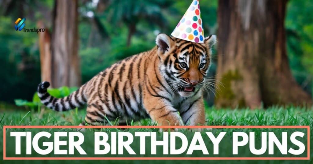 Tiger Birthday Puns