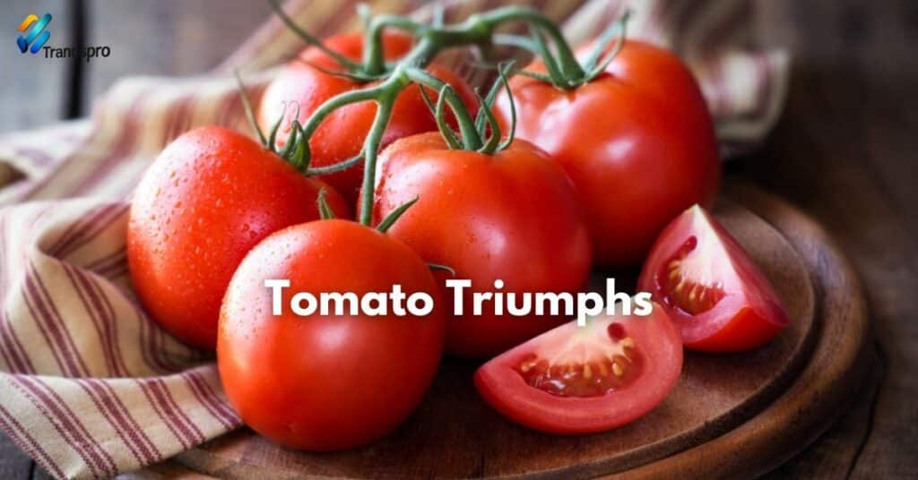 Tomato Triumphs