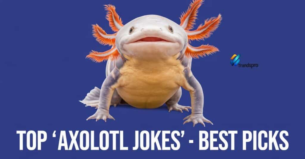 Top ‘Axolotl Jokes’ – Best Picks